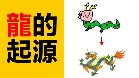 龍 造詞